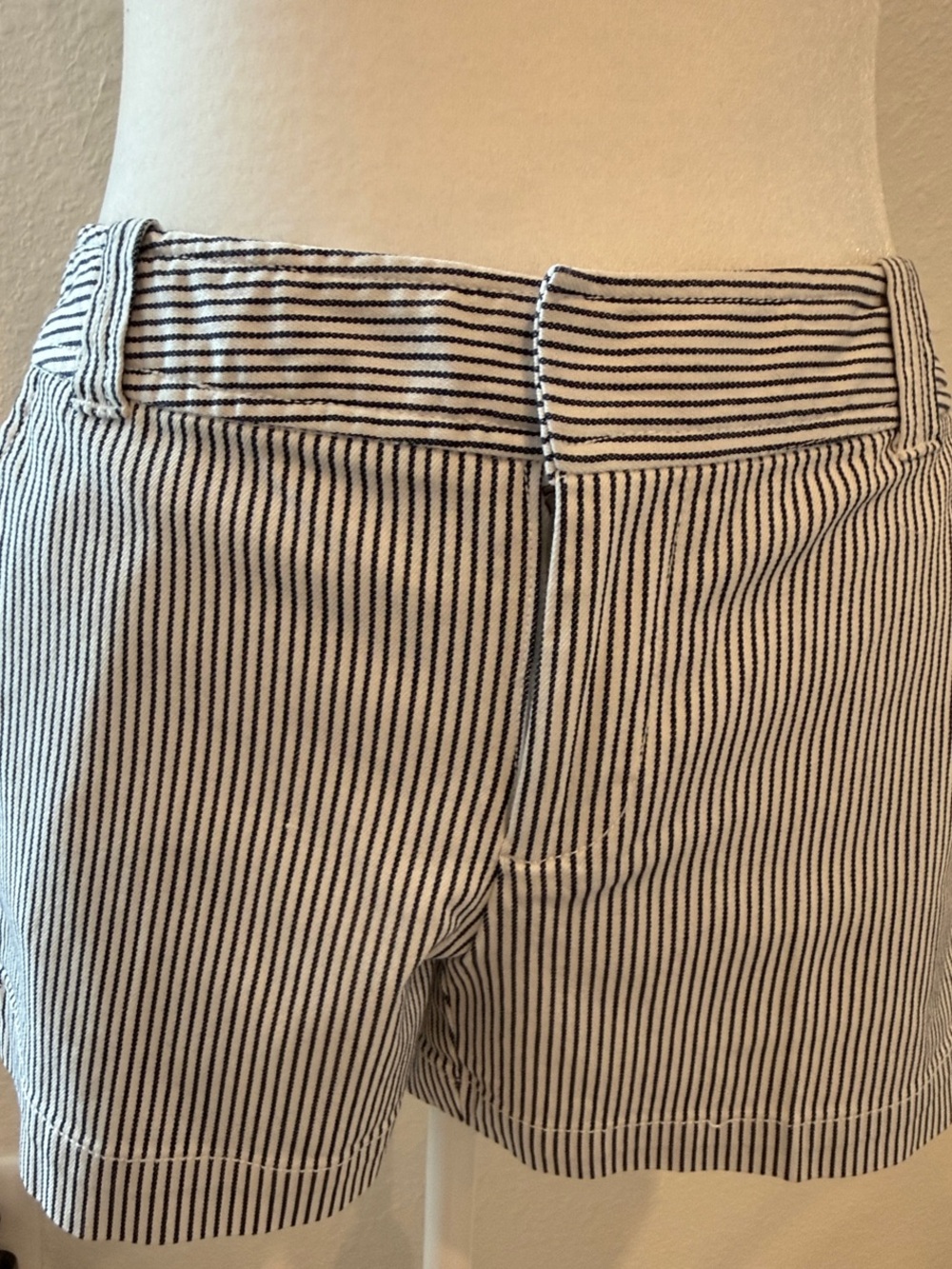 Striped Blue & White Women's Shorts